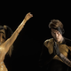 Screenshot via “Fool’s Gold”/Vevo.